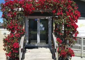 Elliotts Mt Maunganui Gloucester